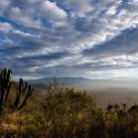 TZA ARU Ngorongoro 2016DEC26 Crater 006 : 2016, 2016 - African Adventures, Africa, Arusha, Crater, Date, December, Eastern, Month, Ngorongoro, Places, Tanzania, Trips, Year